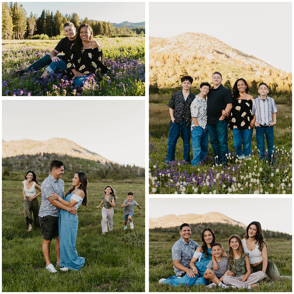 Tahoe Meadows