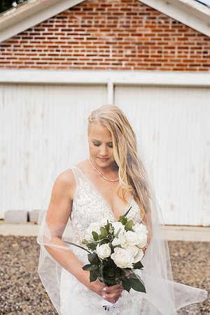 MiceliWedding135