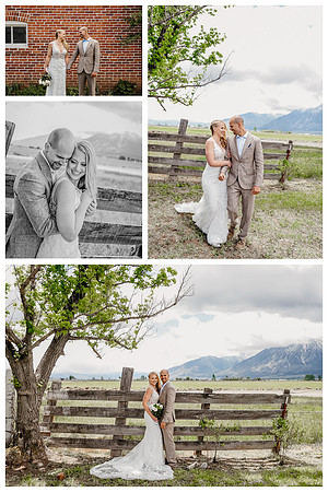 MiceliWedding328